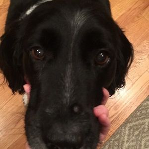 Meet your Posher, Beth